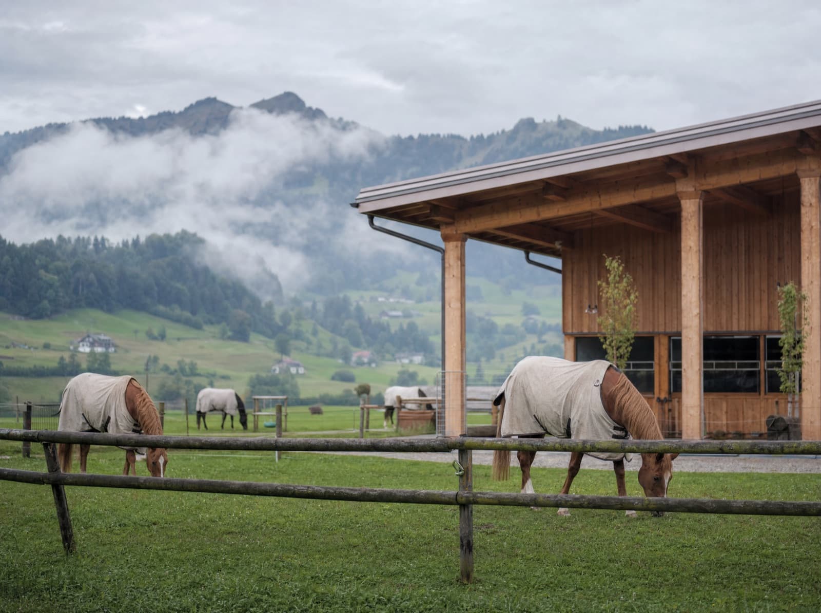 Pferde mit Decken auf der Koppel vor einem Holzstall in den Voralpen